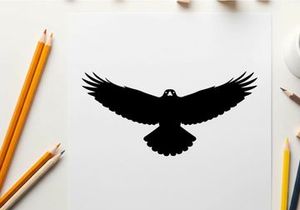 Silhouette of a bird in flight with outstretched wings