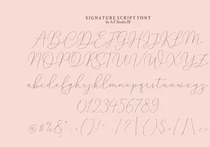 Overflows - Signature Font, Script Font, Procreate Font, Calligraphy Font, Handwritten Font, Wedding Font, Cricut Font, Cursive Font, Canva.