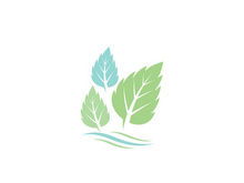 Mint Leaf icon template illustration