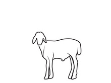Goat Logo Template vector icon illustration design