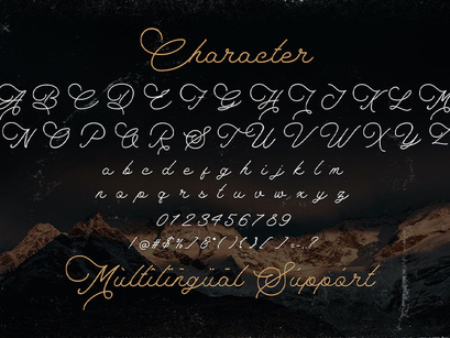 The Saily - Monoline Retro Script Font