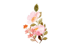 Vector Flower Watercolor Illustration