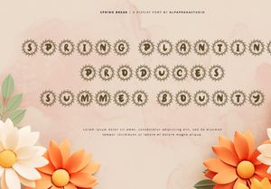 Spring Break - Decorative Display Font