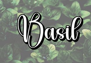 Badsig Signature