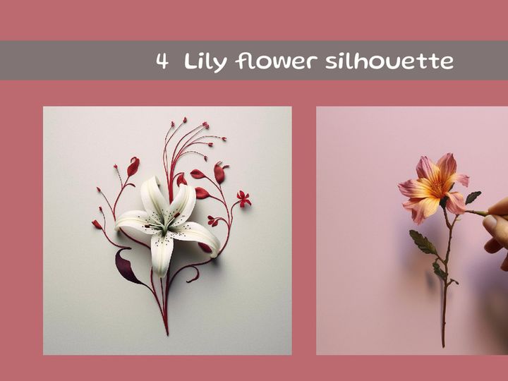Lily flower silhouette