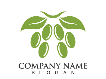 Extra virgin olive oil logo icon design vector illustration preview picture