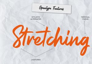 Eastside Valley || Stylish Retro Script