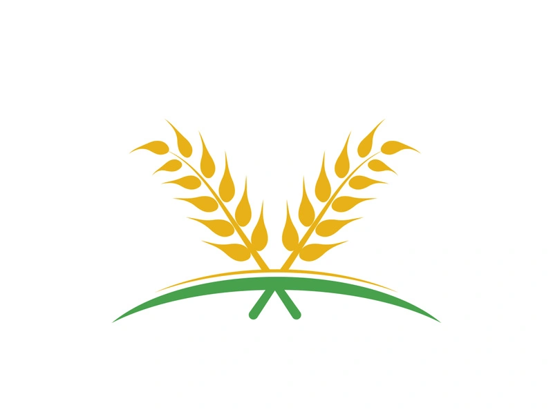 Agriculture wheat vector