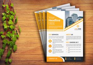 Professional Flyer Design
