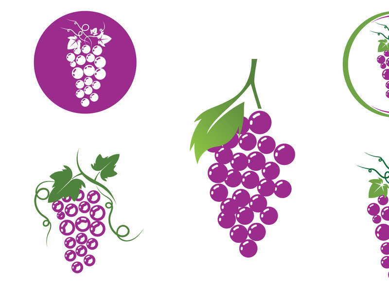 Fruit Grape logo vector