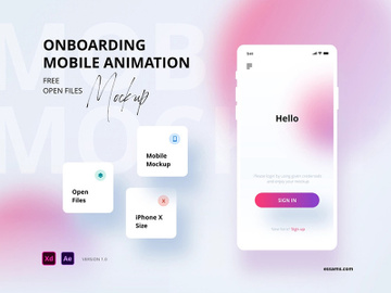 Onboarding 360 Mobile Animation Mockup preview picture