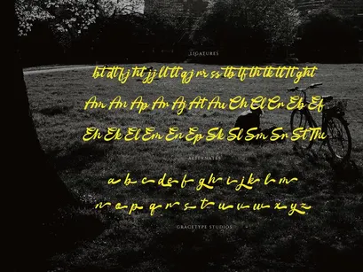 Anchora Anchord | Handwritten Script