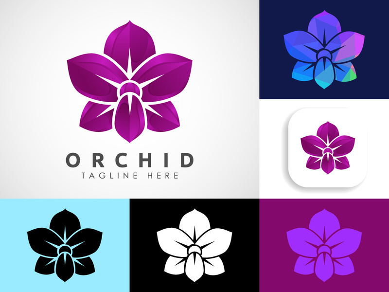 Colorful Orchid flower logo design template vector