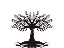 Root Leaf Family Tree of Life Oak Banyan Maple Stamp Seal Emblem Label logo design vector