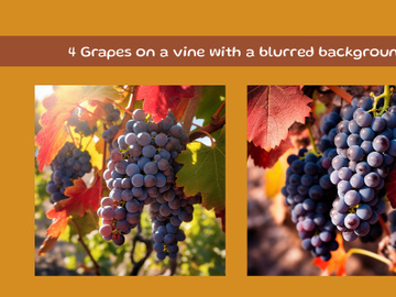 Grapes on a vine with a blurred background preview picture