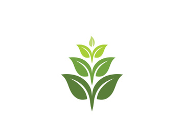 Eco green icon illustration design preview picture