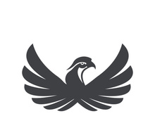 Falcon logo template vector illustration design