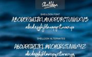 Shelldon Brush Script Font Demo (Personal Use)
