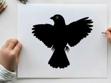 Silhouette of a bird in flight with wings spread wide