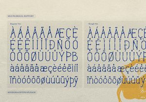 Morinor Lenteron | Hand Drawn Font