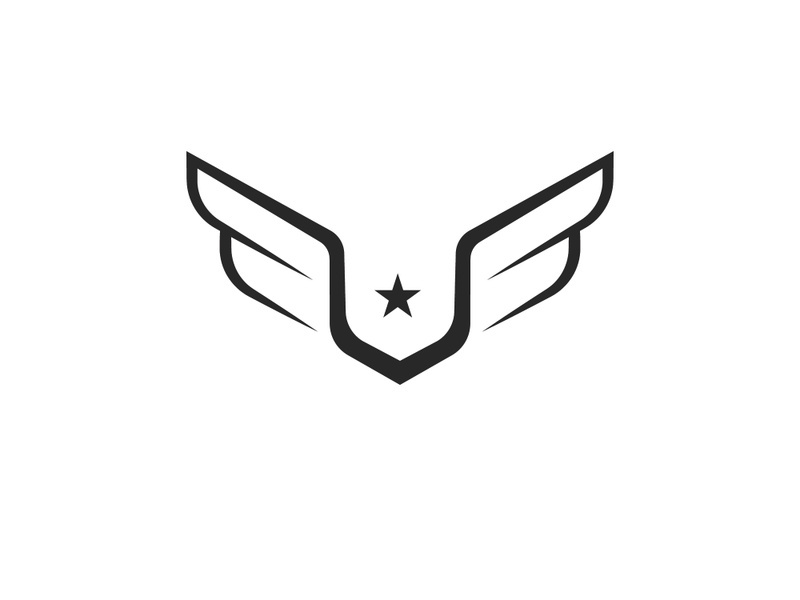 Wing  logo icon vector illustration