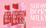 Beautiful Fairytale Font