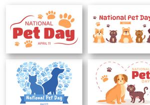 16 National Pet Day Illustration