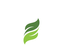 Logos of green Tree leaf ecology