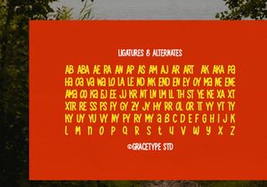 Ramveno | Playful Display