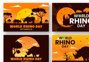 13 World Rhino Day Vector Illustration