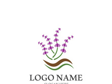 Lavender flower vector icon illustration design template