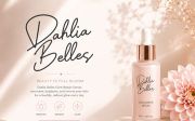 Bertiland Signature – Monoline Script Font