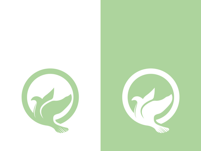 Dove bird logo vector design illustration