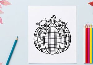 Plaid pumpkin line art illustration. Autumn harvest vegetable drawing with tartan pattern.