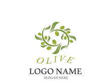 olive icon vector illustration design template