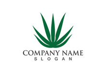Aloe vera logo vector ilustration template