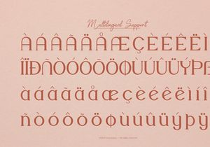 Noune | Modern Serif Font