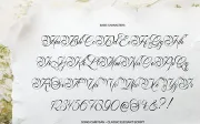 Song Camysa | Classic Elegant Script