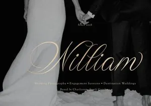 Wistallion | Classic Calligraphy
