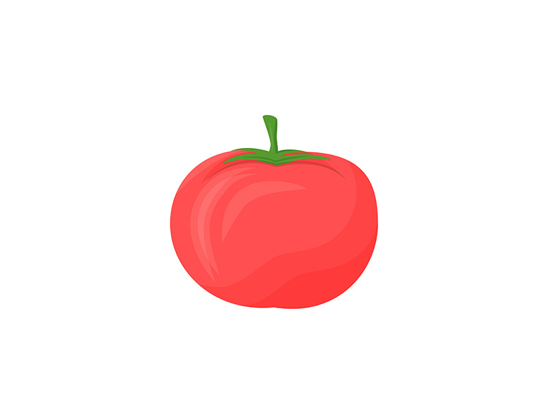Tomato cartoon vector illustration