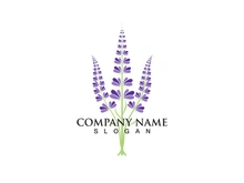 Fresh Lavender flower logo vector flat