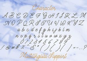 The Gallery - Monoline Script Font