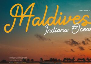 Paradise Gallaiso | Monoline Script Typeface