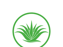 Aloe Vera logo icon design symbol beauty skin care