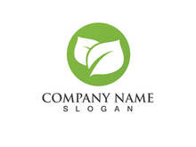 Green leaf logo Vector