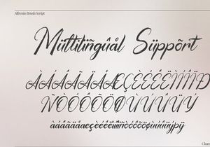 Alfrenio | Handwritten Brush Script