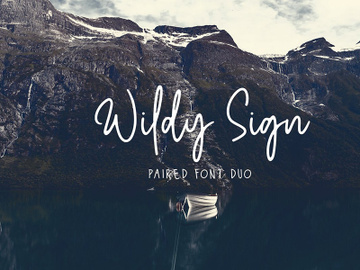 Wildy Sign Signature Font preview picture