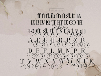 Ronale Classic | Handmade Serif