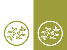 olive icon vector illustration design template