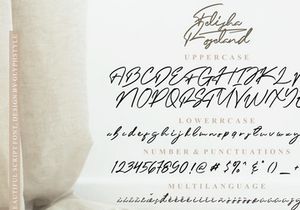 Felisha Roseland Script Font